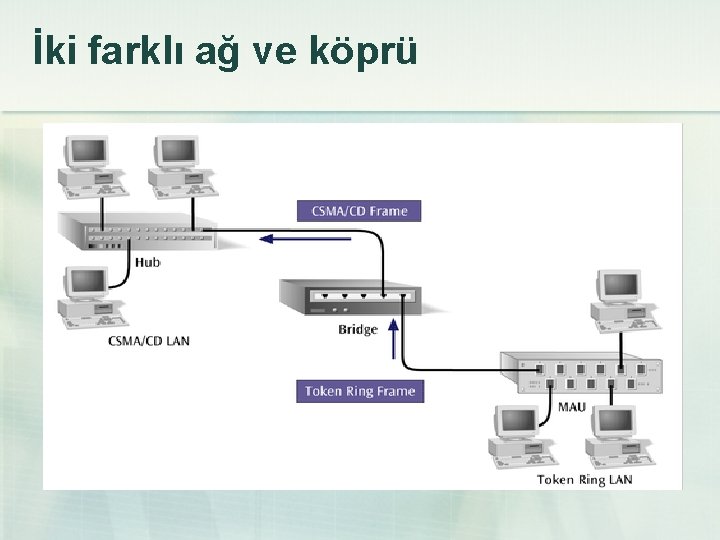 İki farklı ağ ve köprü 