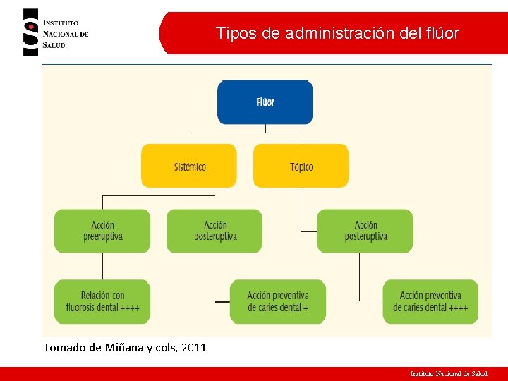 Tipos de administración del flúor Tomado de Miñana y cols, 2011 Instituto Nacional de