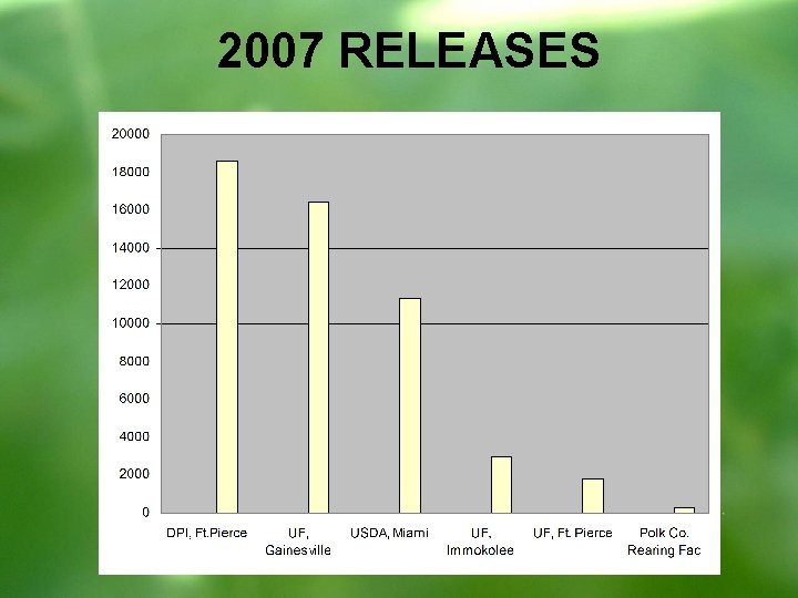2007 RELEASES 
