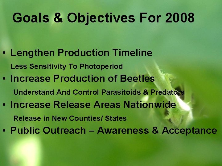 Goals & Objectives For 2008 • Lengthen Production Timeline Less Sensitivity To Photoperiod •