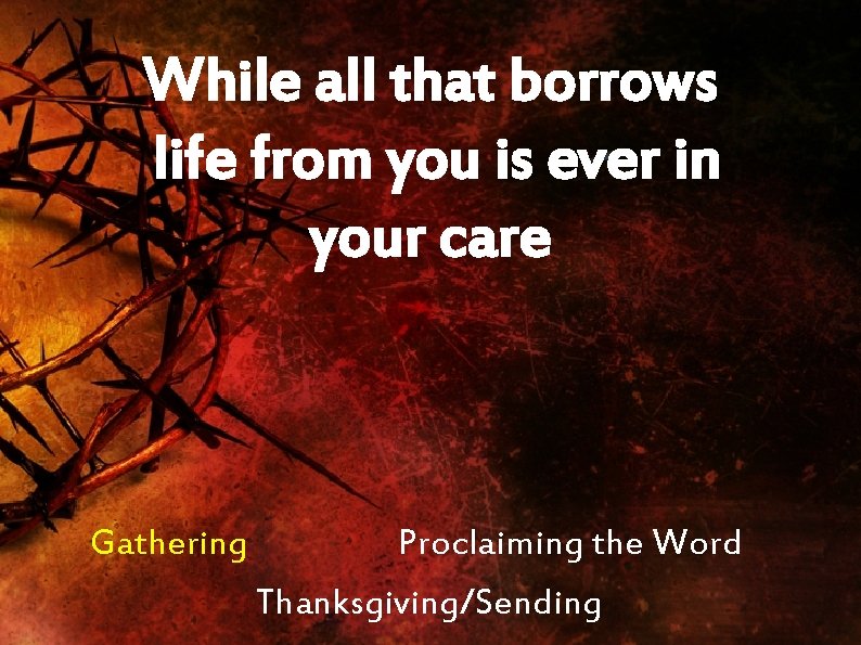 While all that borrows life from you is ever in your care Gathering Proclaiming