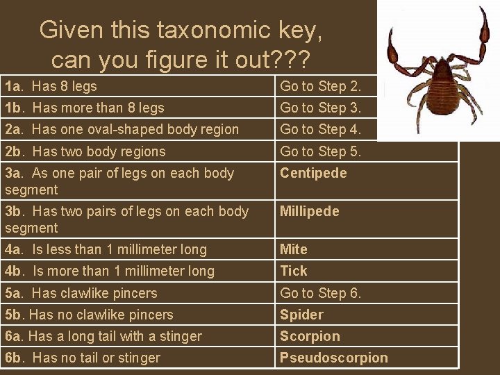 Given this taxonomic key, can you figure it out? ? ? 1 a. Has