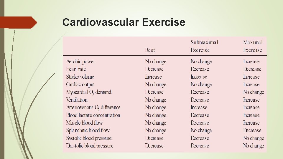 Cardiovascular Exercise 