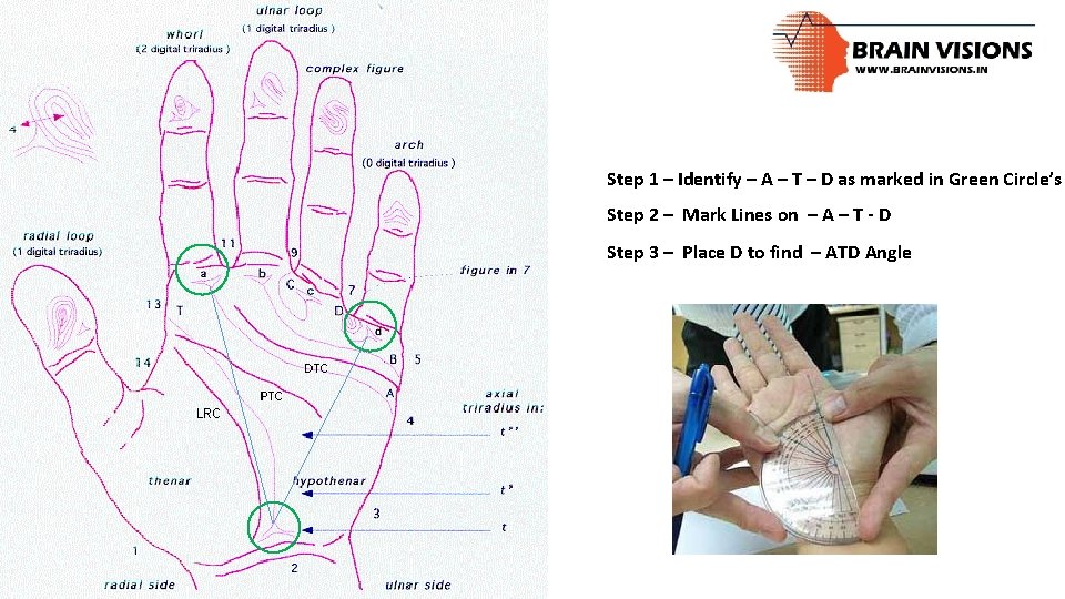 Step 1 – Identify – A – T – D as marked in Green