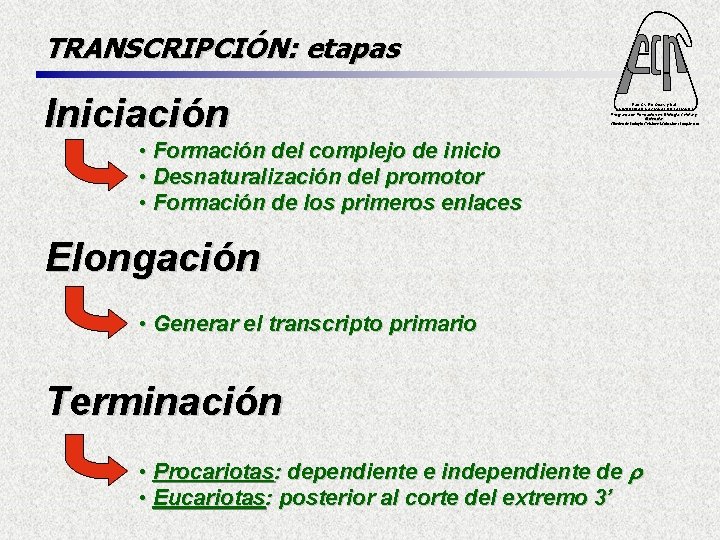 TRANSCRIPCIÓN: etapas Iniciación Fac. Cs. Ex. Qcas. y Nat. UNIVERSIDAD NACIONAL DE MISIONES Programa