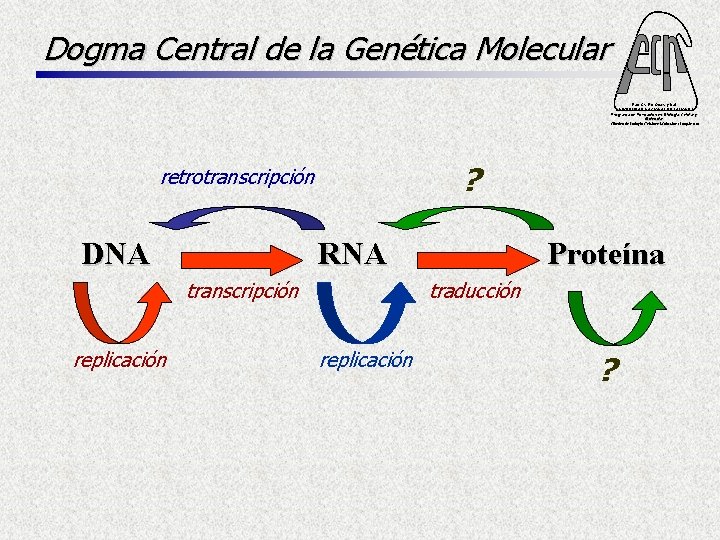 Dogma Central de la Genética Molecular Fac. Cs. Ex. Qcas. y Nat. UNIVERSIDAD NACIONAL