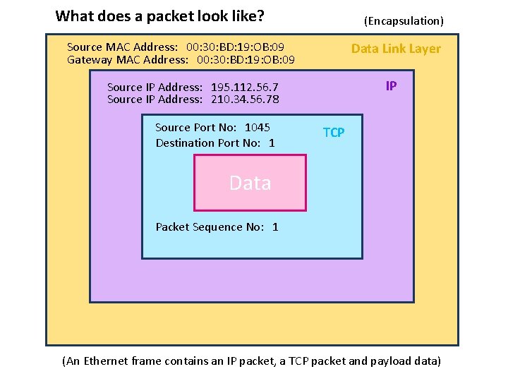 What does a packet look like? (Encapsulation) Source MAC Address: 00: 30: BD: 19: