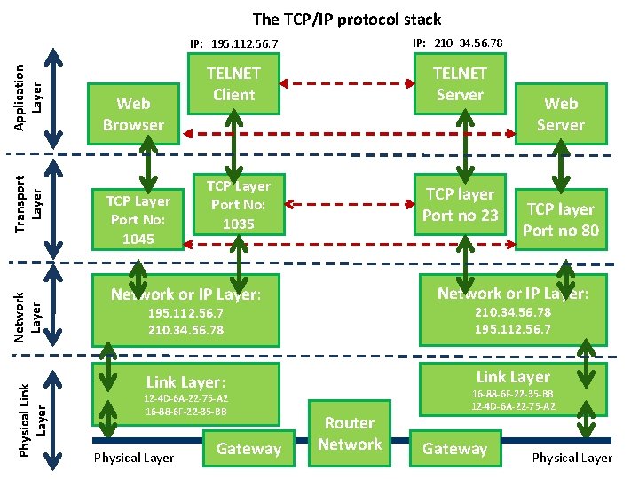 Physical Link Layer Network Layer Transport Layer Application Layer The TCP/IP protocol stack Web