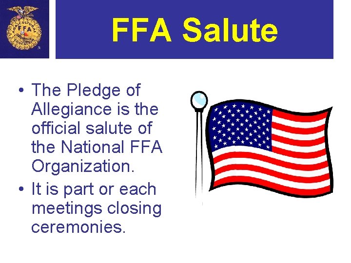 FFA Salute • The Pledge of Allegiance is the official salute of the National