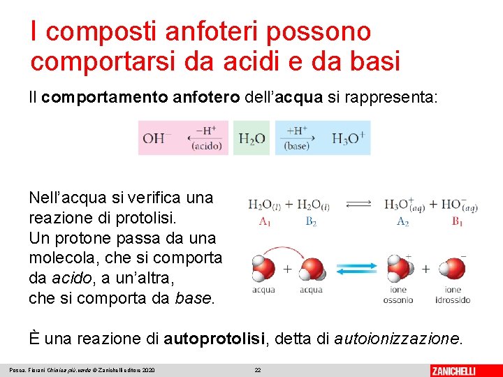 I composti anfoteri possono comportarsi da acidi e da basi Il comportamento anfotero dell’acqua