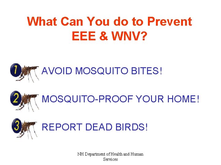 What Can You do to Prevent EEE & WNV? AVOID MOSQUITO BITES! MOSQUITO-PROOF YOUR