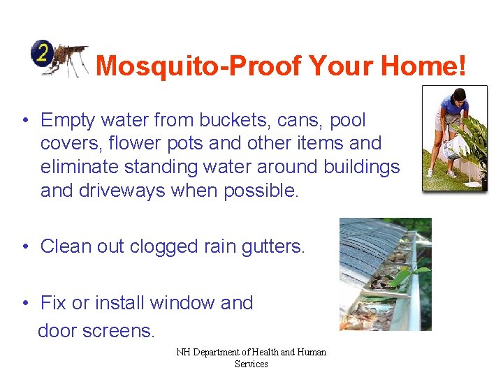 Mosquito-Proof Your Home! • Empty water from buckets, cans, pool covers, flower pots and