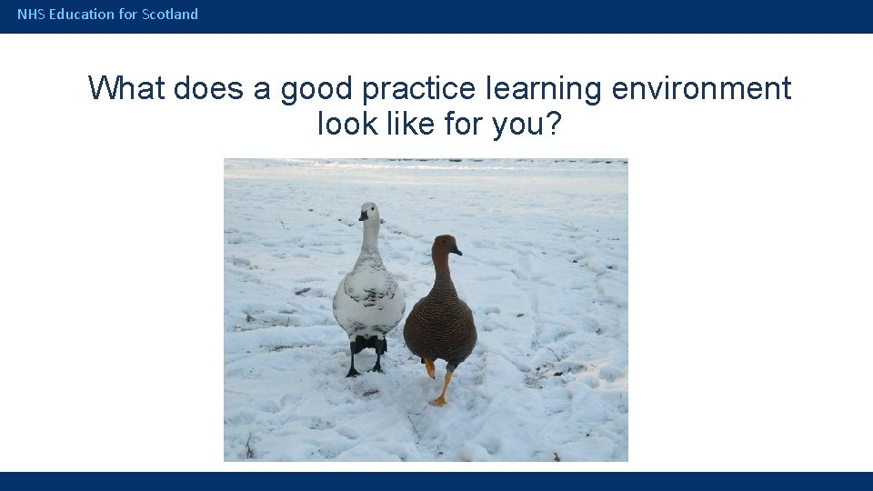 NHS Education for Scotland What does a good practice learning environment look like for