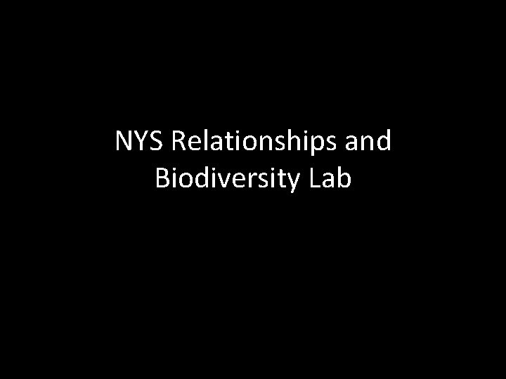 NYS Relationships and Biodiversity Lab 