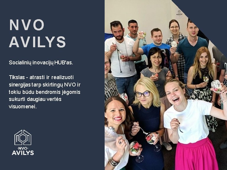 NVO AV ILYS Socialinių inovacijų HUB'as. Tikslas - atrasti ir realizuoti sinergijas tarp skirtingų