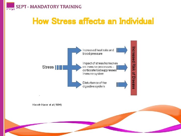 SEPT - MANDATORY TRAINING How Stress affects an Individual Kiecolt-Glaser et al (1984) 