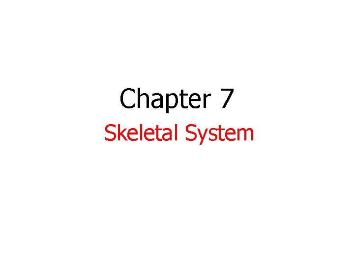 Chapter 7 Skeletal System 