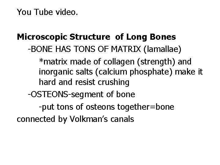 You Tube video. . Microscopic Structure of Long Bones -BONE HAS TONS OF MATRIX