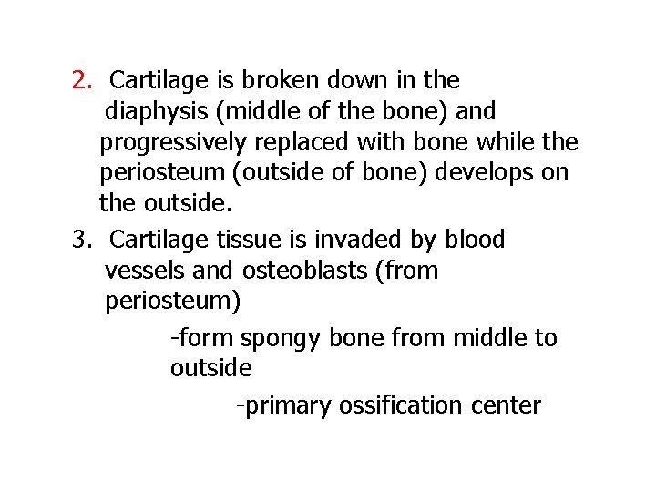 2. Cartilage is broken down in the diaphysis (middle of the bone) and progressively