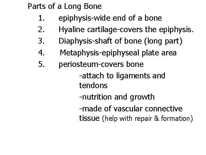 Parts of a Long Bone 1. epiphysis-wide end of a bone 2. Hyaline cartilage-covers