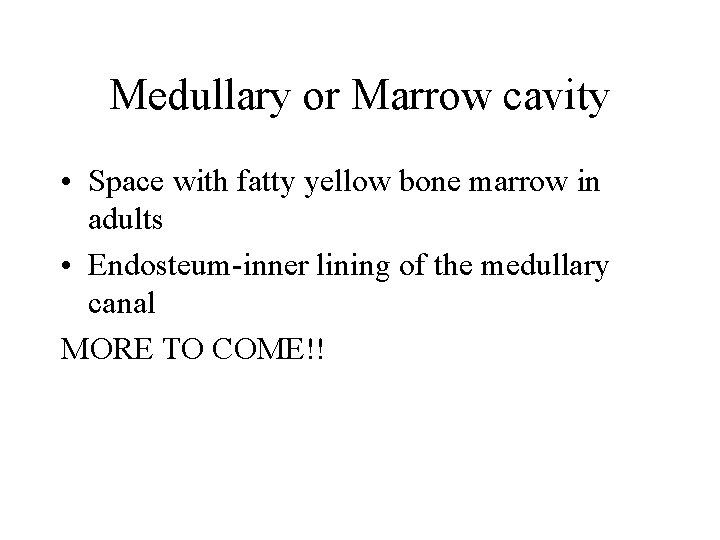 Medullary or Marrow cavity • Space with fatty yellow bone marrow in adults •