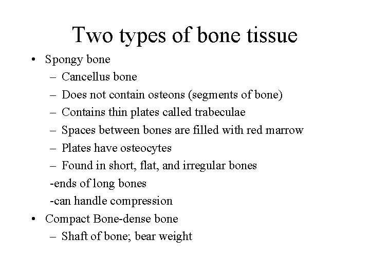 Two types of bone tissue • Spongy bone – Cancellus bone – Does not