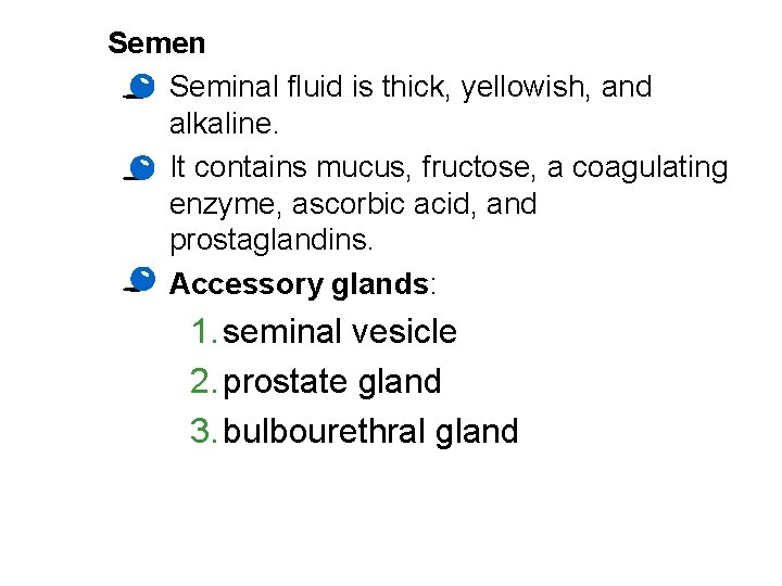 Semen · Seminal fluid is thick, yellowish, and alkaline. · It contains mucus, fructose,