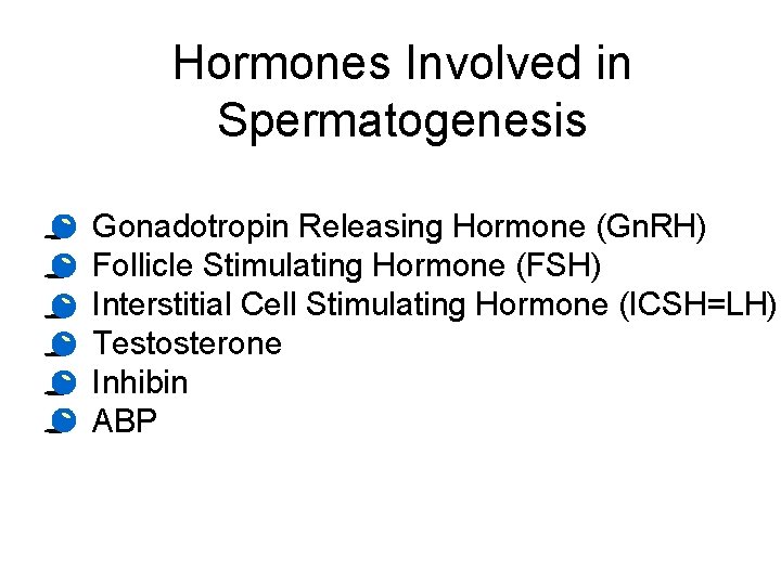 Hormones Involved in Spermatogenesis • • • Gonadotropin Releasing Hormone (Gn. RH) Follicle Stimulating