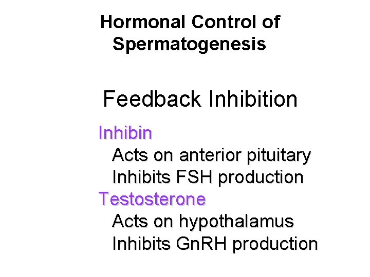 Hormonal Control of Spermatogenesis Feedback Inhibition Inhibin Acts on anterior pituitary Inhibits FSH production