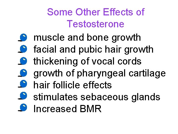  • • Some Other Effects of Testosterone muscle and bone growth facial and