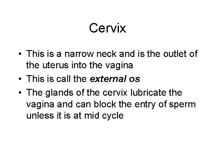 Cervix • This is a narrow neck and is the outlet of the uterus