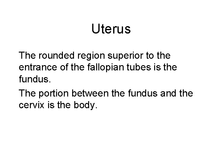 Uterus The rounded region superior to the entrance of the fallopian tubes is the