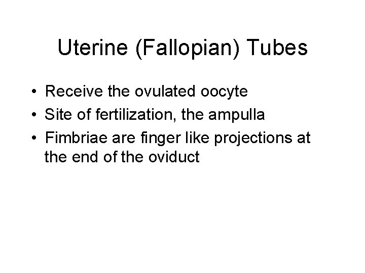 Uterine (Fallopian) Tubes • Receive the ovulated oocyte • Site of fertilization, the ampulla
