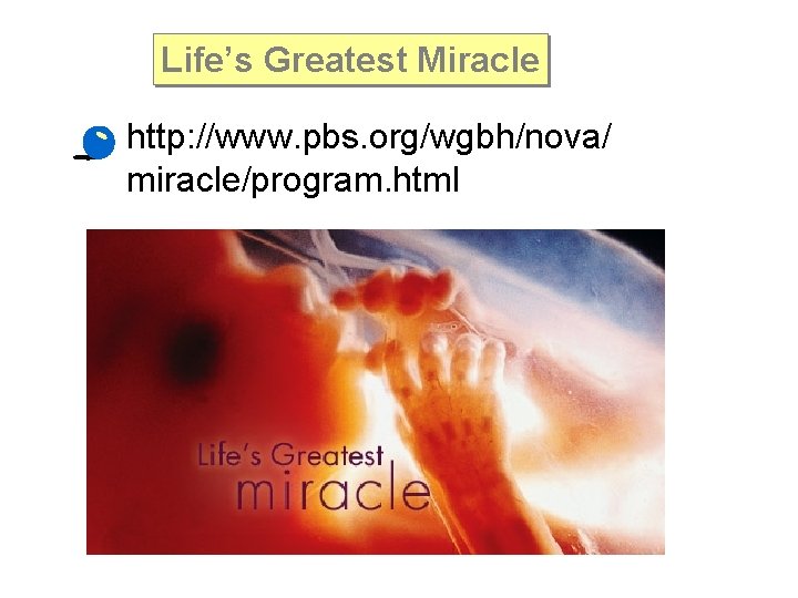 Life’s Greatest Miracle • http: //www. pbs. org/wgbh/nova/ miracle/program. html 