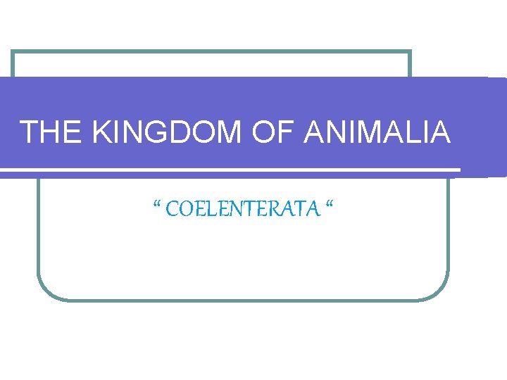 THE KINGDOM OF ANIMALIA “ COELENTERATA “ 