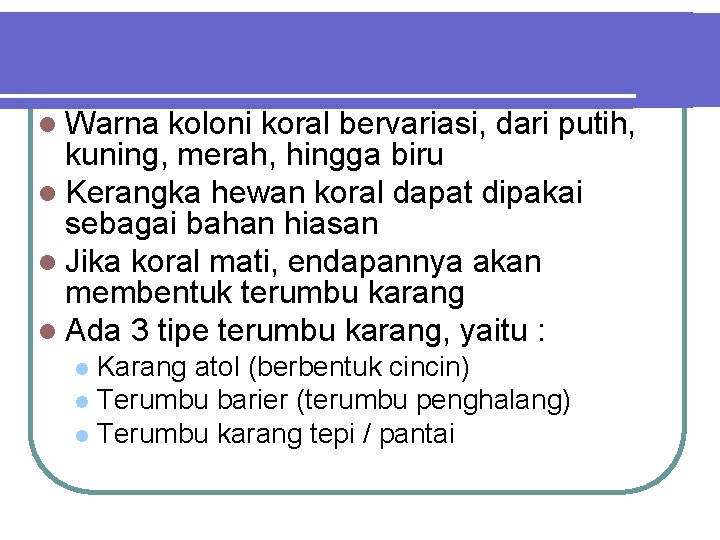 l Warna koloni koral bervariasi, dari putih, kuning, merah, hingga biru l Kerangka hewan