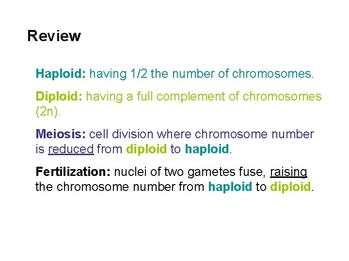 Review Haploid: having 1/2 the number of chromosomes. Diploid: having a full complement of