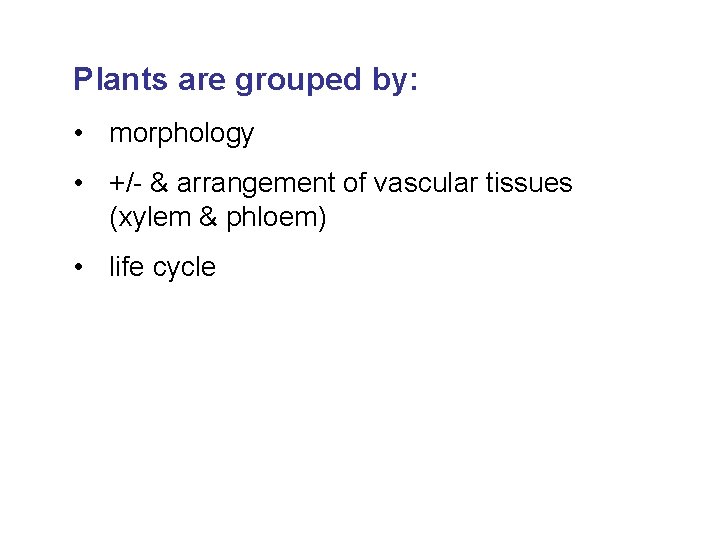 Plants are grouped by: • morphology • +/- & arrangement of vascular tissues (xylem