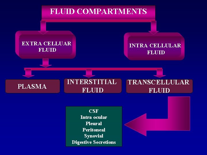 FLUID COMPARTMENTS EXTRA CELLUAR FLUID PLASMA INTERSTITIAL FLUID CSF Intra ocular Pleural Peritoneal Synovial