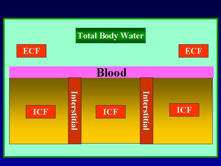 Total Body Water ECF Blood ICF Interstitial ICF BLOOD ICF 