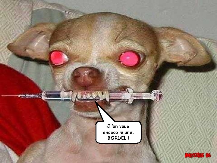 J ’en veux encooore une. BORDEL ! 