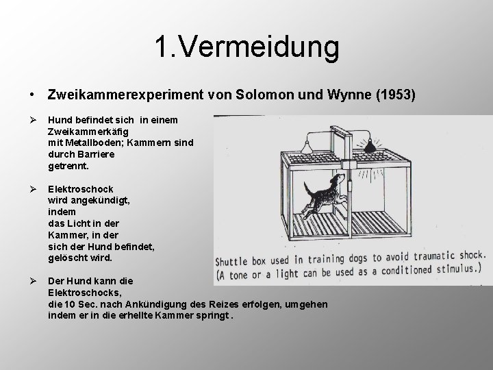1. Vermeidung • Zweikammerexperiment von Solomon und Wynne (1953) Ø Hund befindet sich in