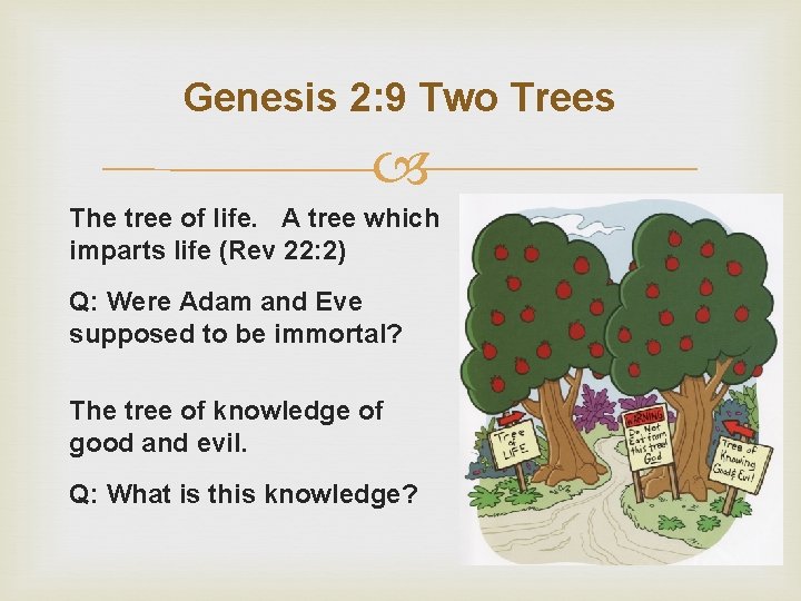 Genesis 2: 9 Two Trees The tree of life. A tree which imparts life