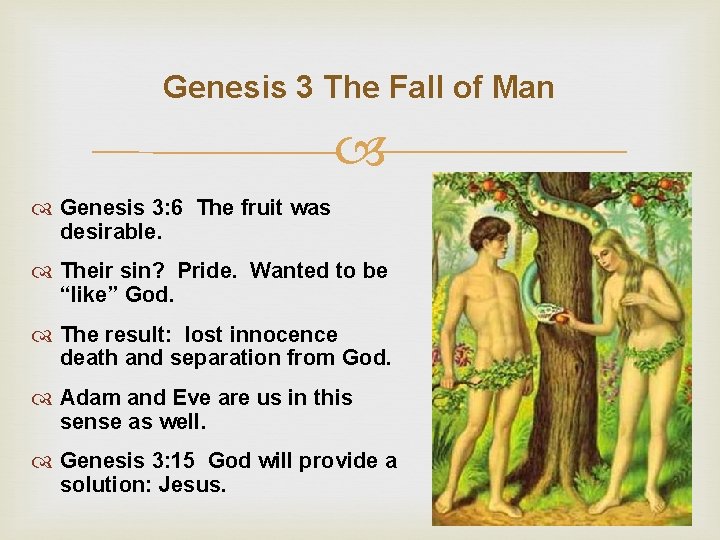 Genesis 3 The Fall of Man Genesis 3: 6 The fruit was desirable. Their