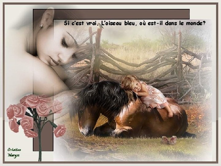 Si c’est vrai, L’oiseau bleu, où est-il dans le monde? 