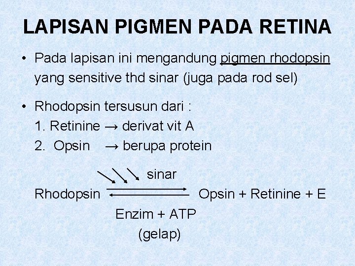 LAPISAN PIGMEN PADA RETINA • Pada lapisan ini mengandung pigmen rhodopsin yang sensitive thd