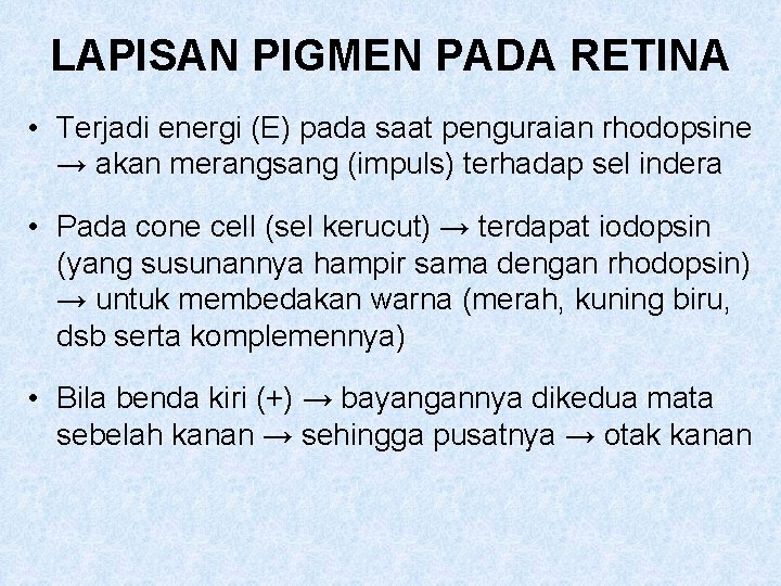 LAPISAN PIGMEN PADA RETINA • Terjadi energi (E) pada saat penguraian rhodopsine → akan