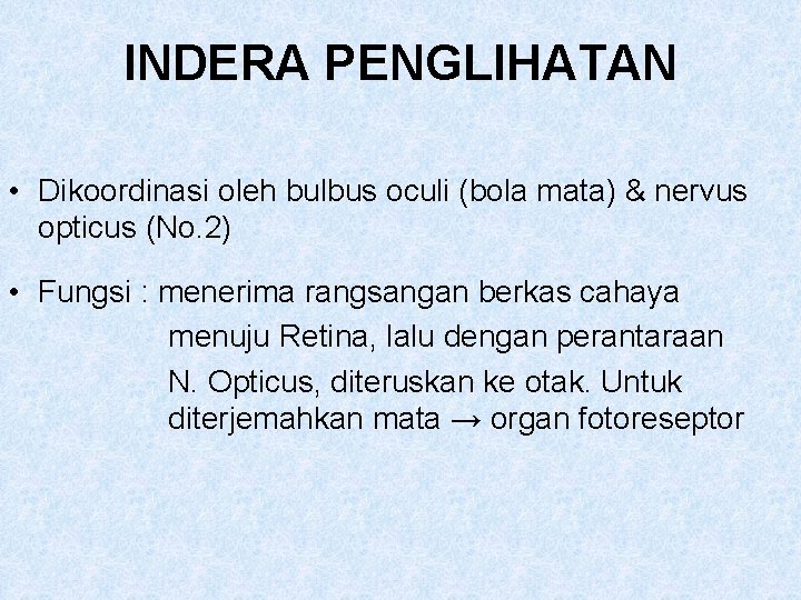 INDERA PENGLIHATAN • Dikoordinasi oleh bulbus oculi (bola mata) & nervus opticus (No. 2)