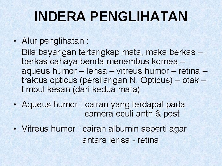 INDERA PENGLIHATAN • Alur penglihatan : Bila bayangan tertangkap mata, maka berkas – berkas