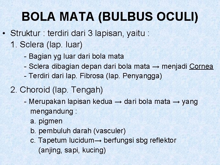 BOLA MATA (BULBUS OCULI) • Struktur : terdiri dari 3 lapisan, yaitu : 1.